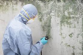 Reliable Stewartstown, PA Mold Remediation Solutions